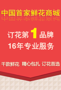 �ļ��ͻ�Ȧ���ţ�������